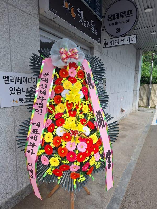 업로드 이미지