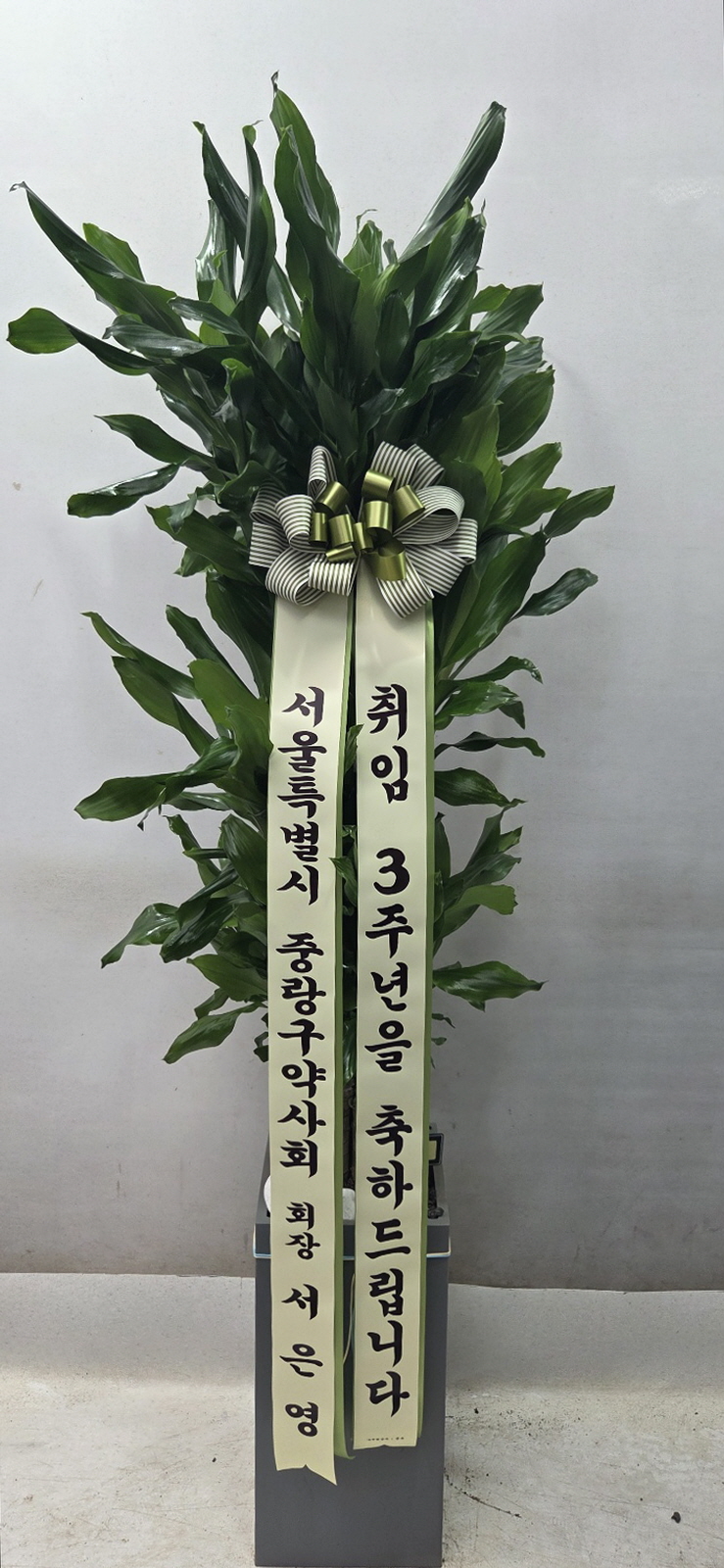업로드 이미지