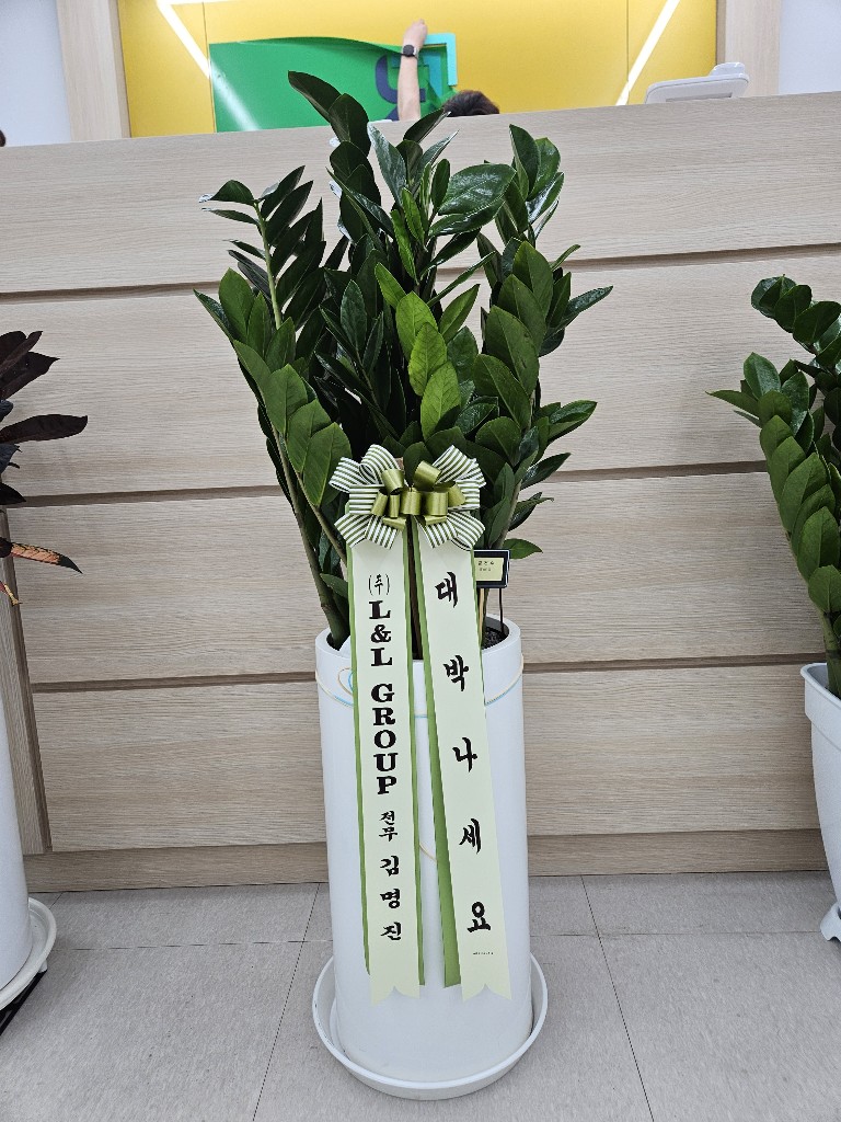 업로드 이미지