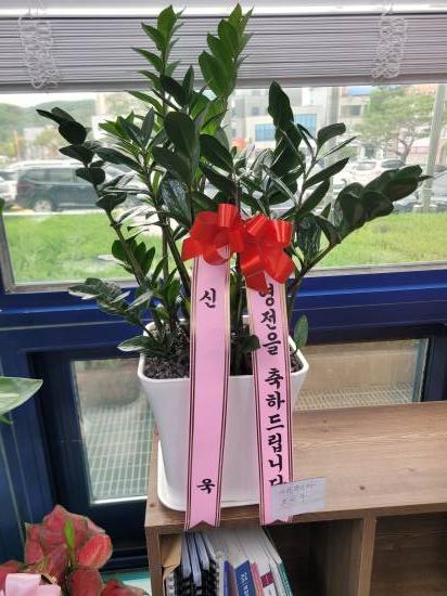 업로드 이미지