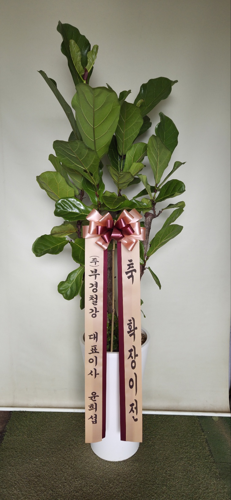 업로드 이미지