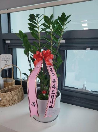 업로드 이미지