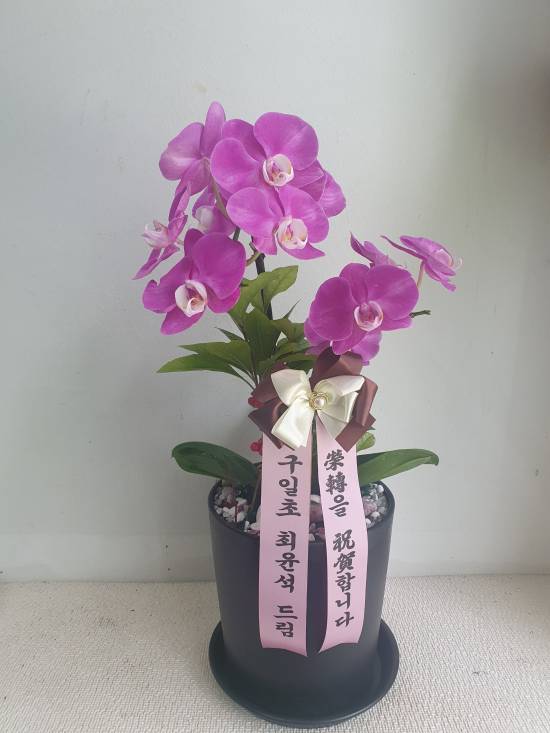 업로드 이미지