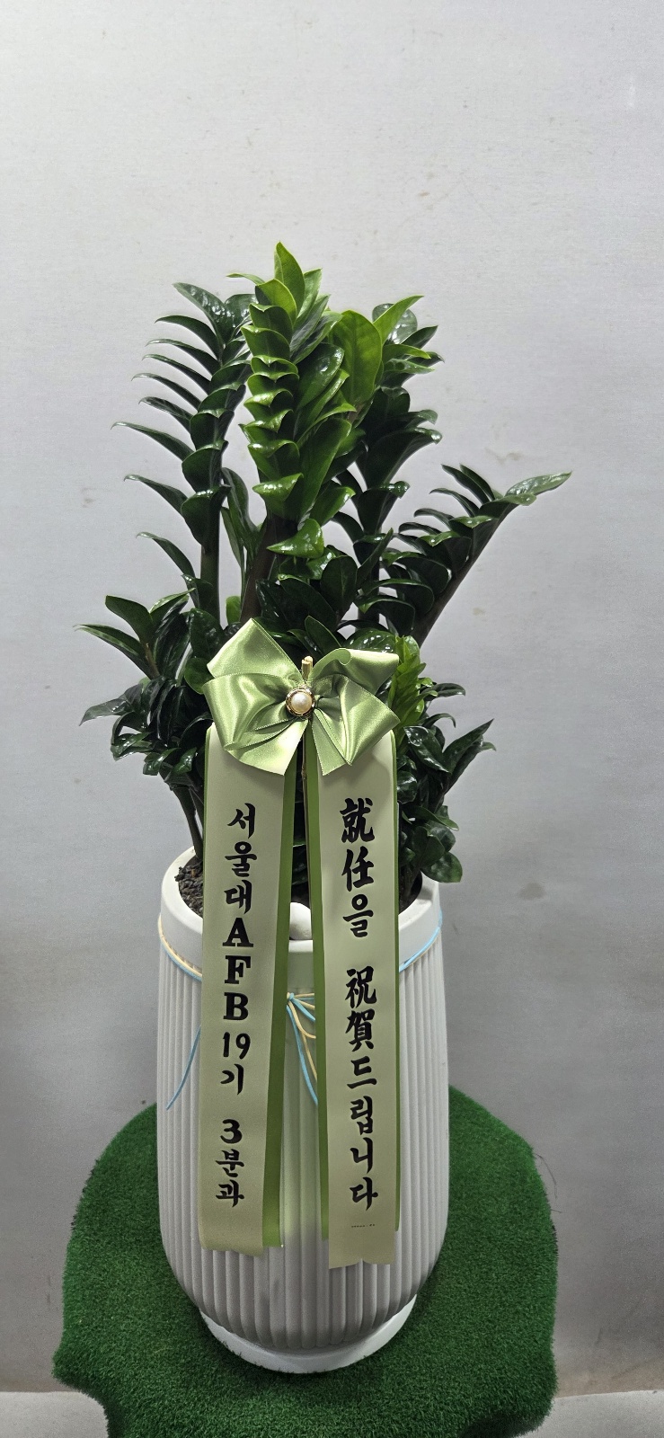 업로드 이미지