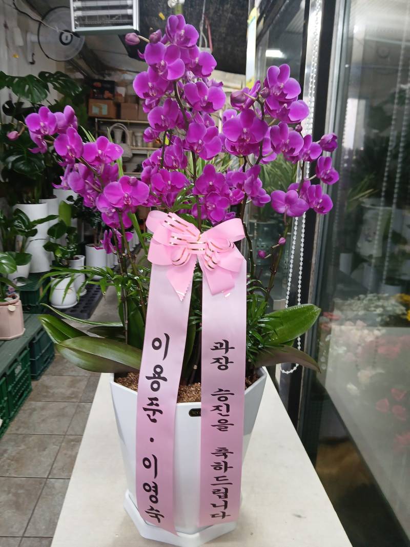 업로드 이미지