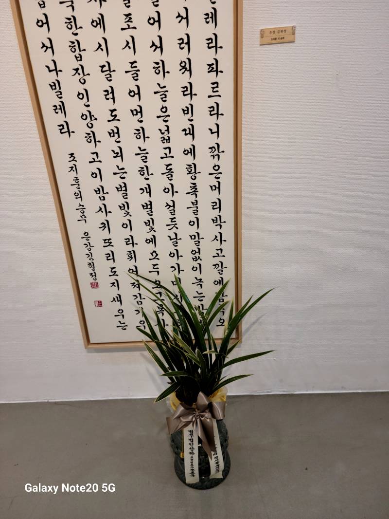 업로드 이미지
