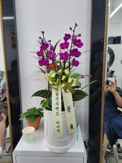 업로드 이미지