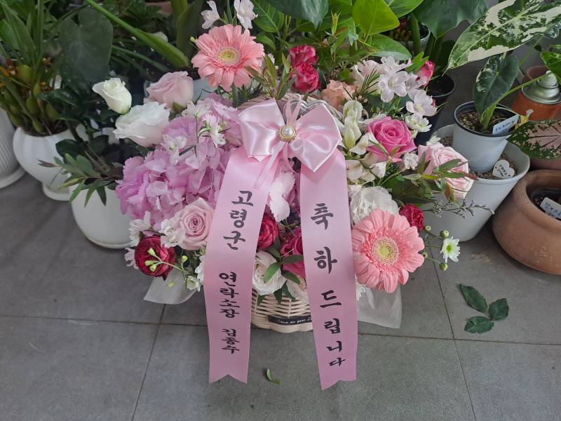 업로드 이미지