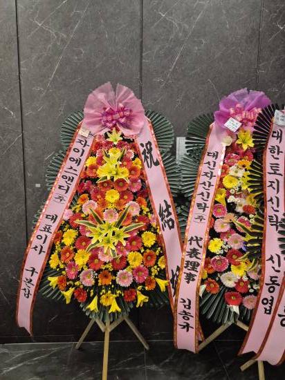 업로드 이미지
