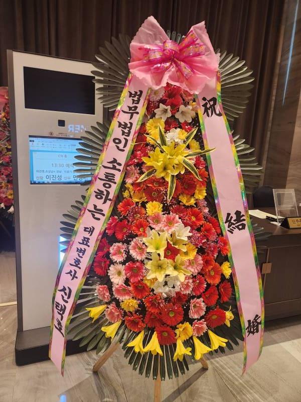 업로드 이미지