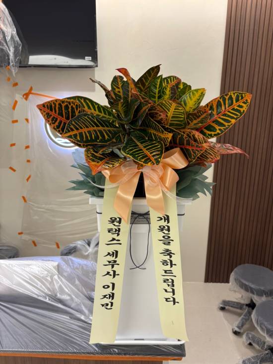 업로드 이미지