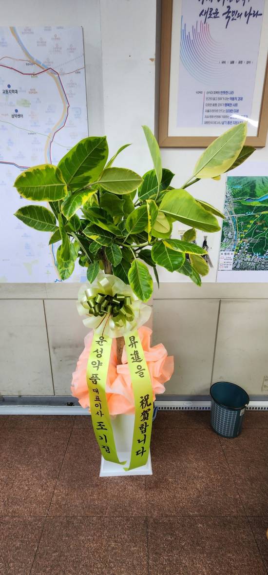 업로드 이미지