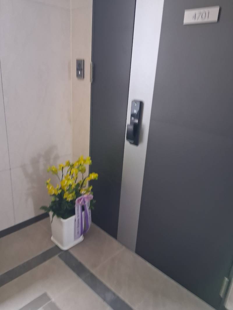 업로드 이미지