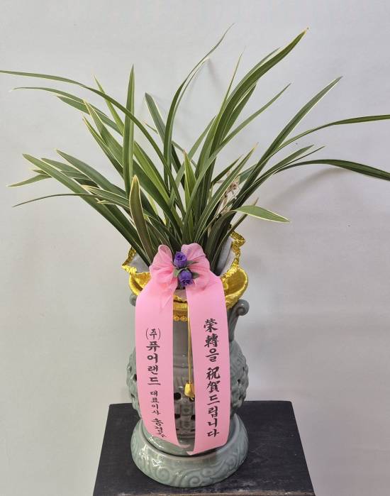 업로드 이미지