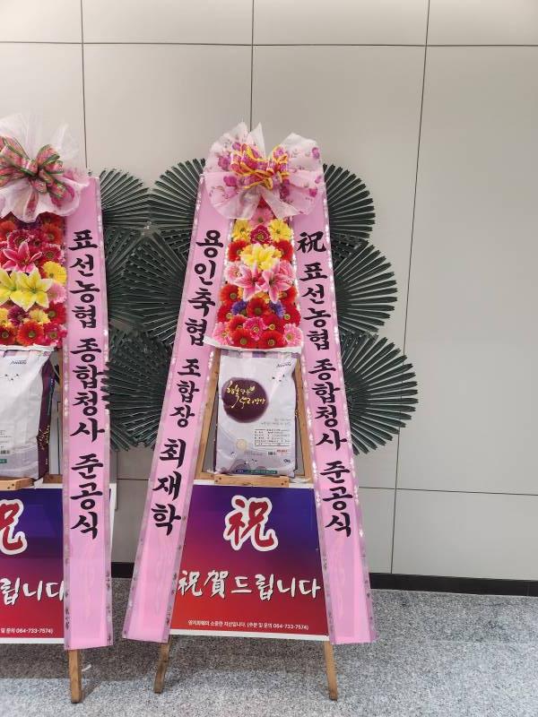 업로드 이미지
