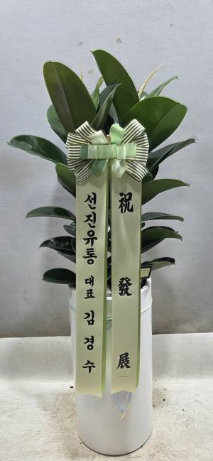 배송사진