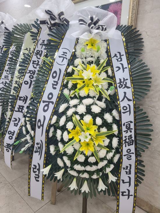 업로드 이미지