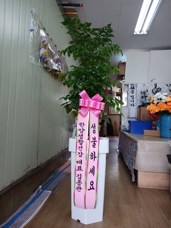 업로드 이미지