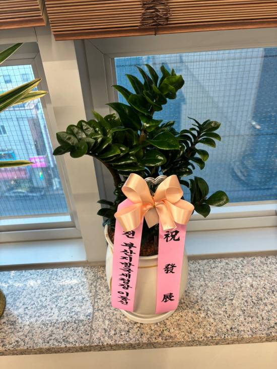 업로드 이미지