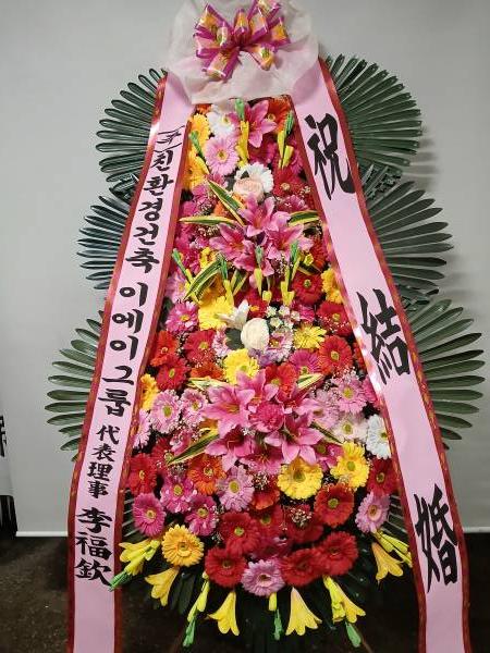 업로드 이미지