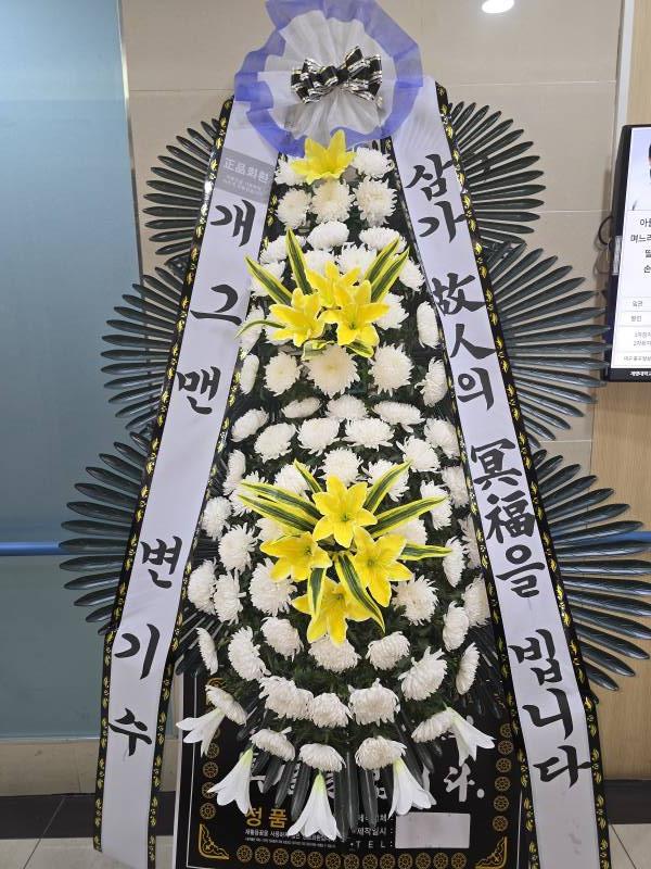 업로드 이미지