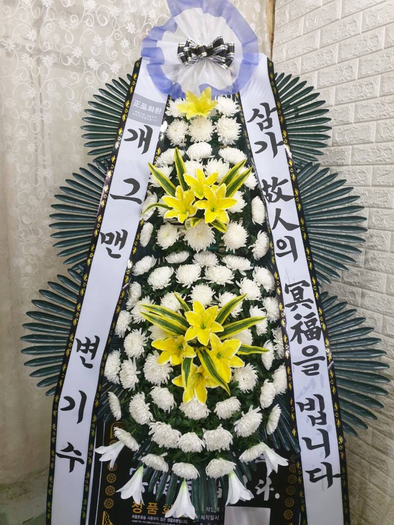 업로드 이미지