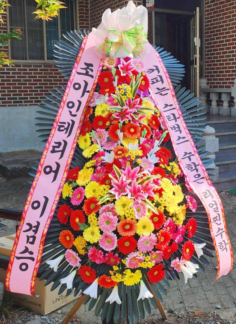 업로드 이미지