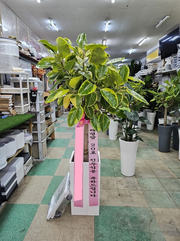 업로드 이미지