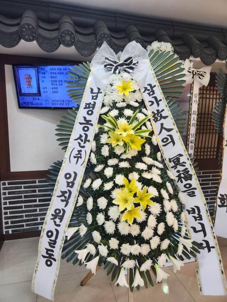 업로드 이미지