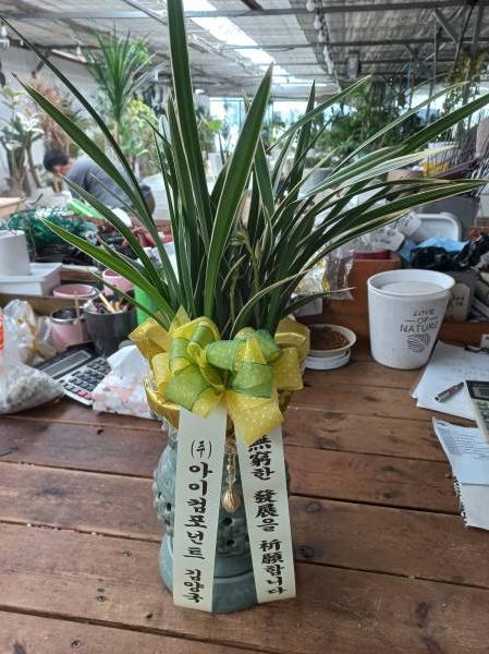 업로드 이미지