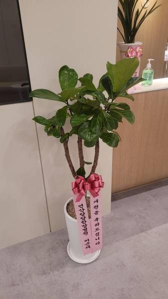 업로드 이미지