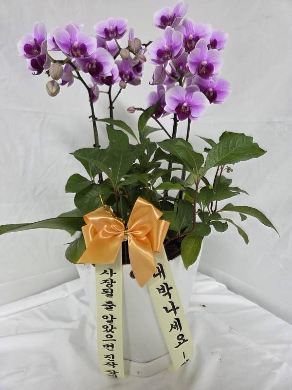 업로드 이미지