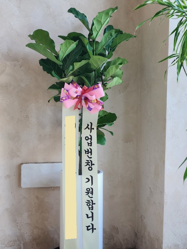 업로드 이미지