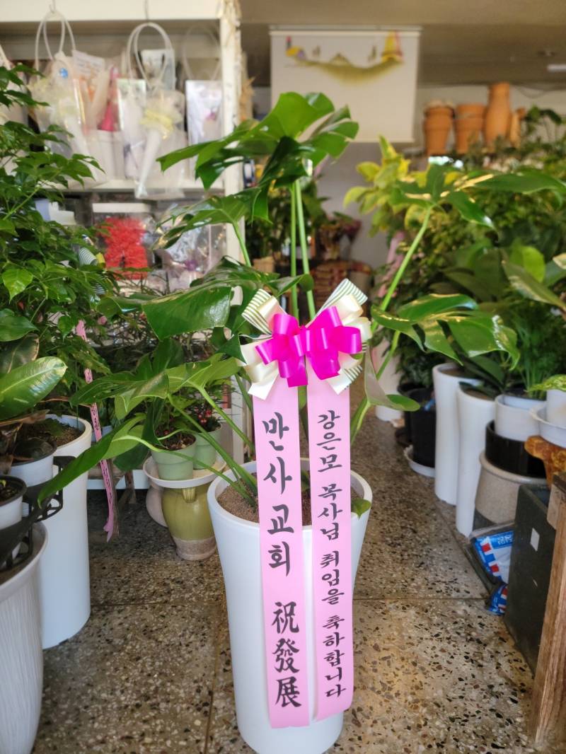 업로드 이미지