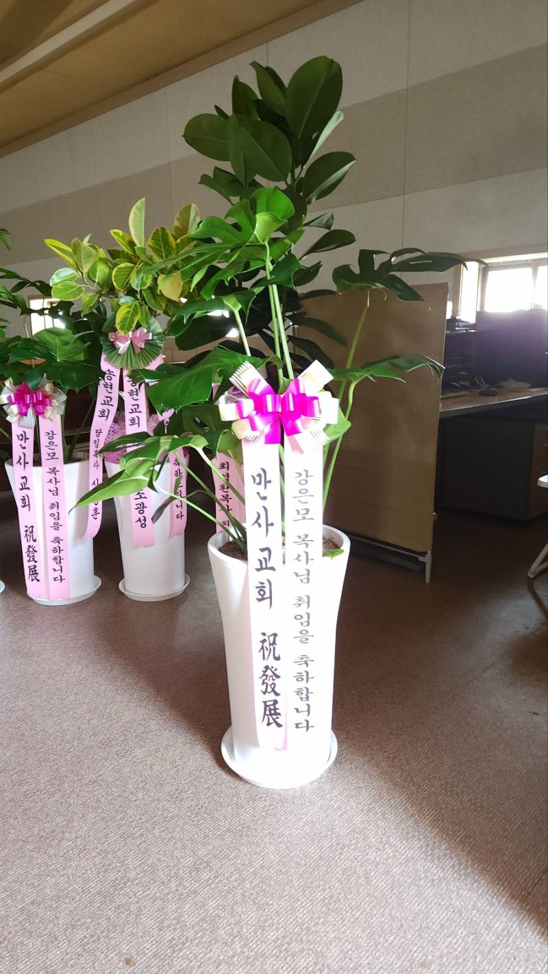 업로드 이미지