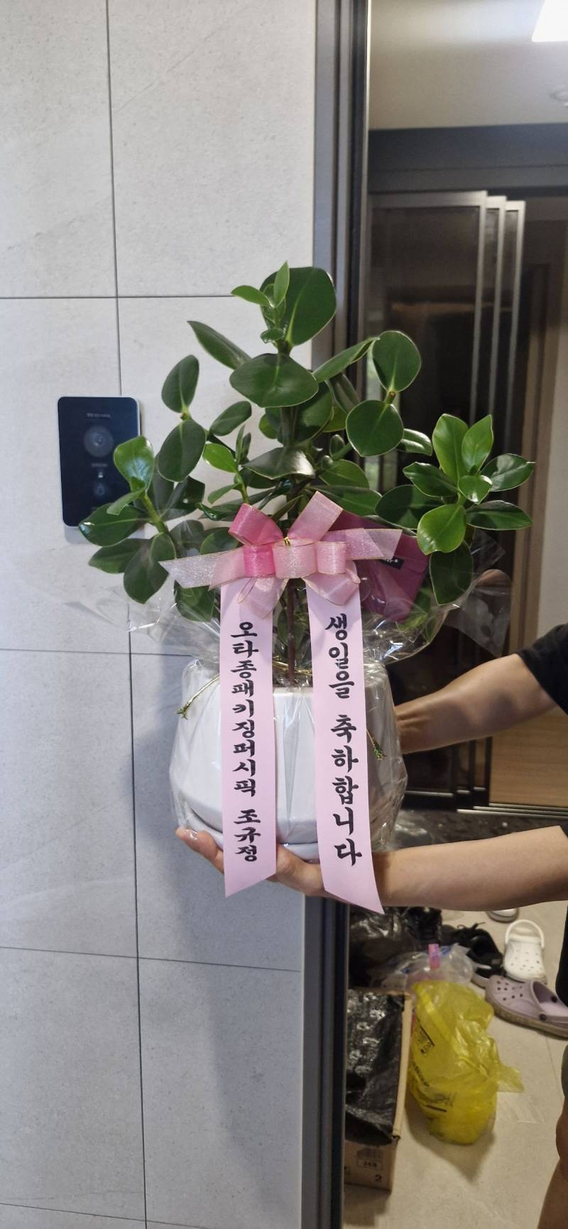배송사진