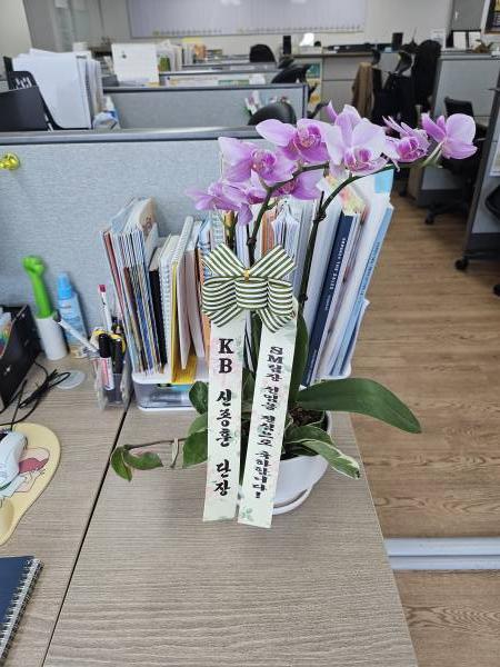 배송사진