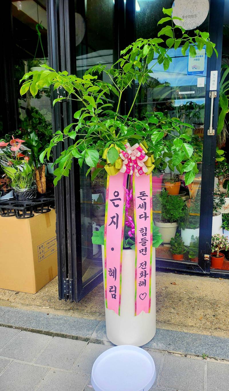 배송사진