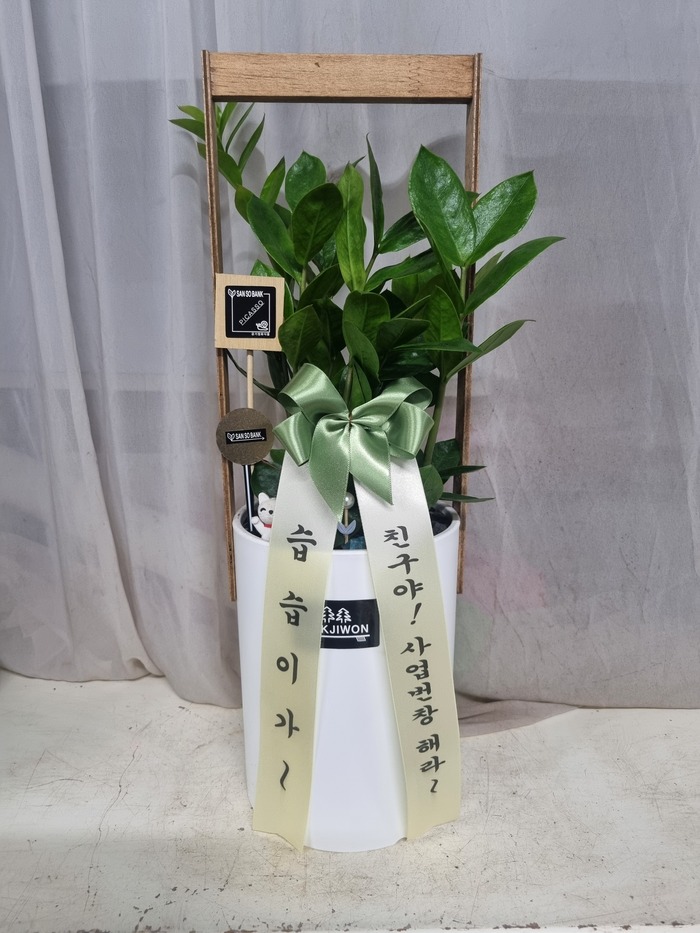 업로드 이미지