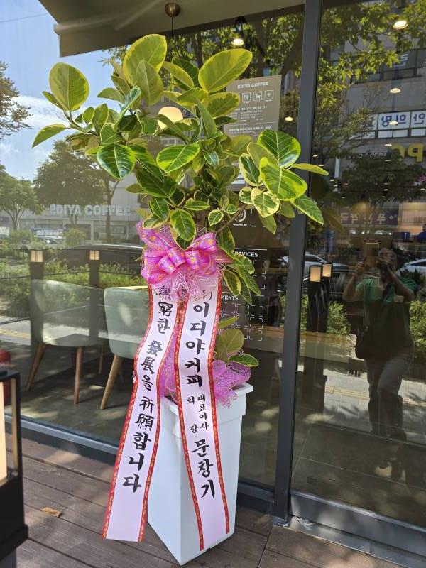 업로드 이미지