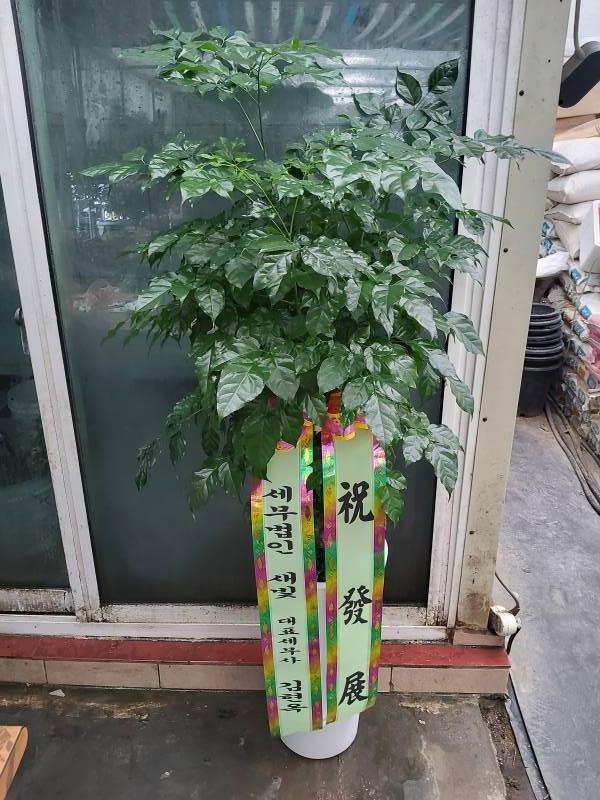 업로드 이미지