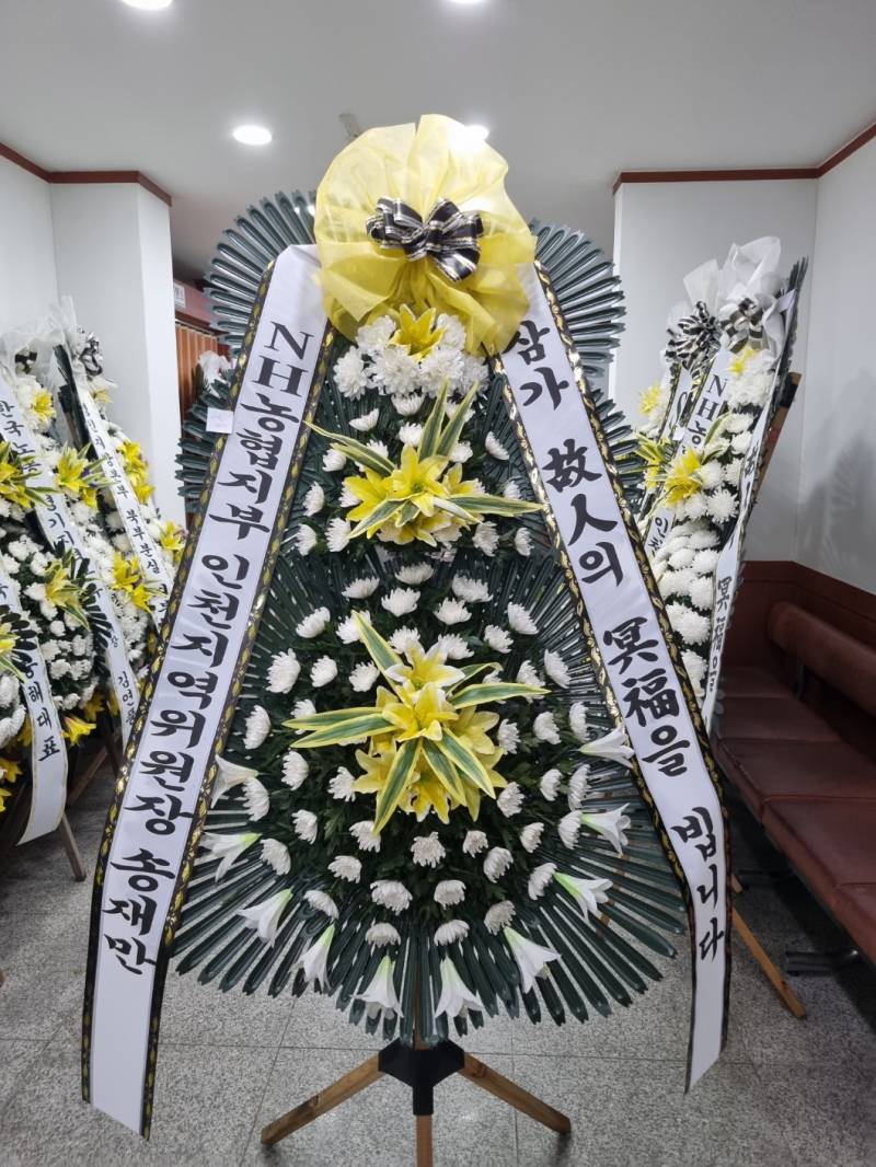 업로드 이미지