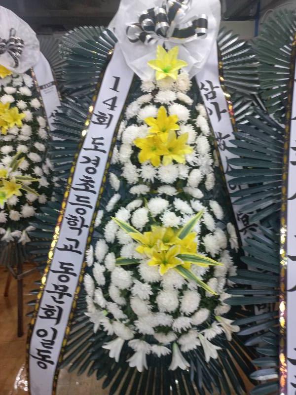 업로드 이미지