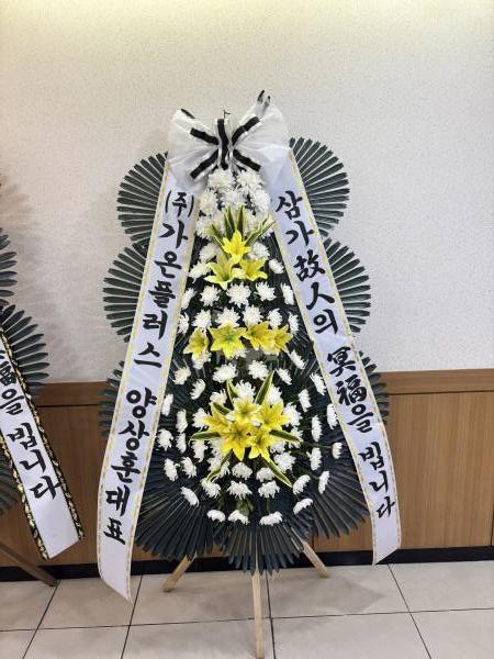 업로드 이미지