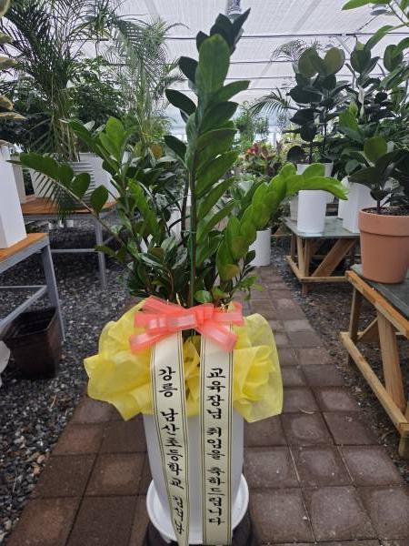 업로드 이미지