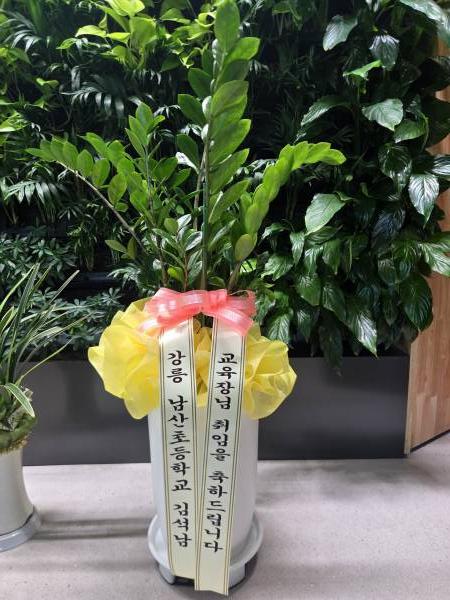 업로드 이미지