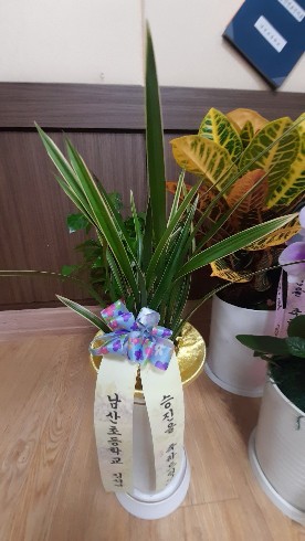 업로드 이미지