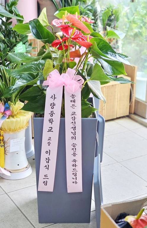 배송사진