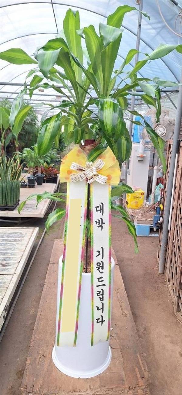 배송사진