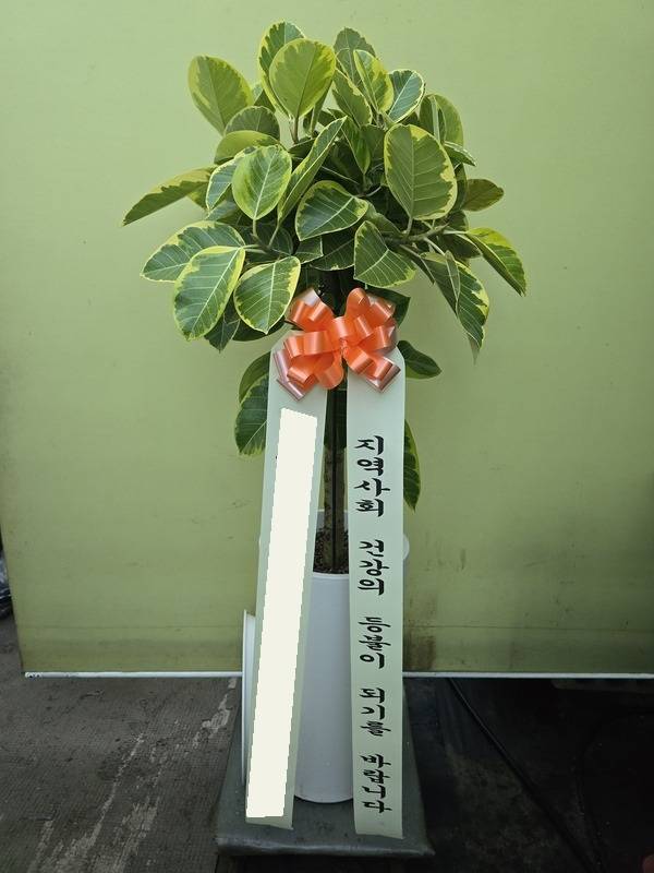 배송사진
